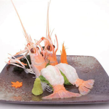 SASHIMI SCAMPI 6PZ