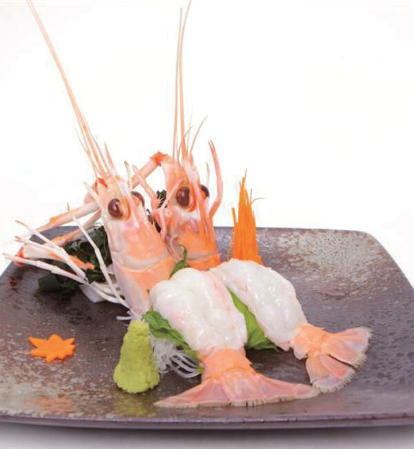 SASHIMI SCAMPI 6PZ